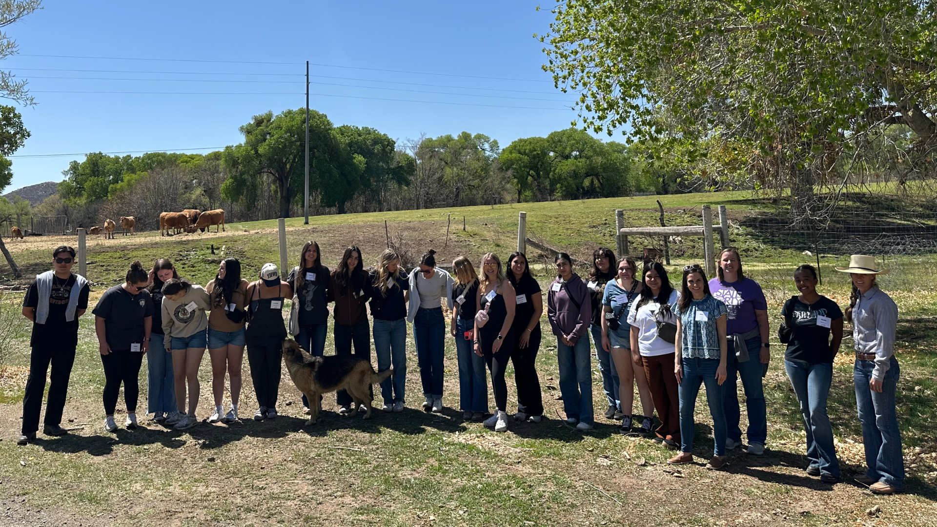 From Gate to Plate: Pre-Med Students Gain Firsthand Beef Industry Experience