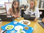 Desert Ridge High School taste test