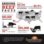 Arizona Beef Facts and Cattle Numbers