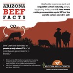 Arizona Beef Facts and Environmental Impact