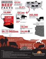 Arizona Beef Facts Infographic