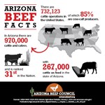 Cattle Numbers 2024 
