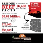 Cattle Numbers 2024 2