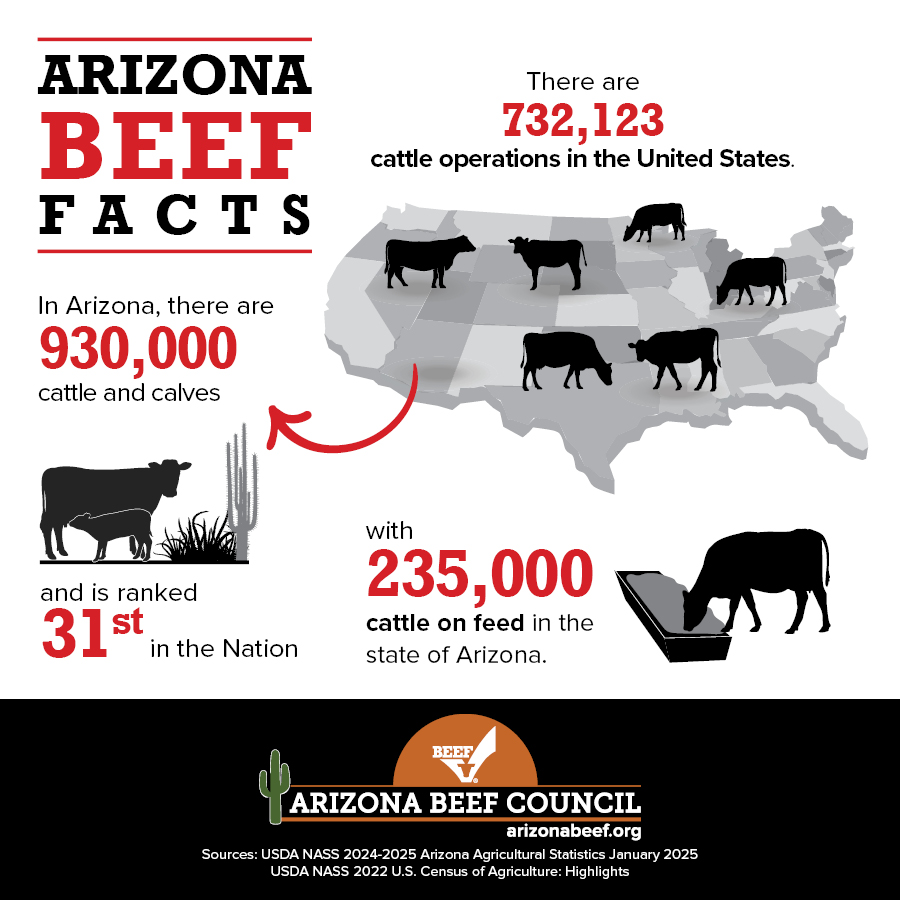 AZ Cattle Numbers 2025 1 AZ Cattle Numbers 2025 1