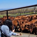 Arizona Cowbelles Ranch Tour
