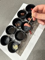 Culinary Students Beef Tour Taste Testing