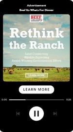 Spotify ad_Rethink the Ranch