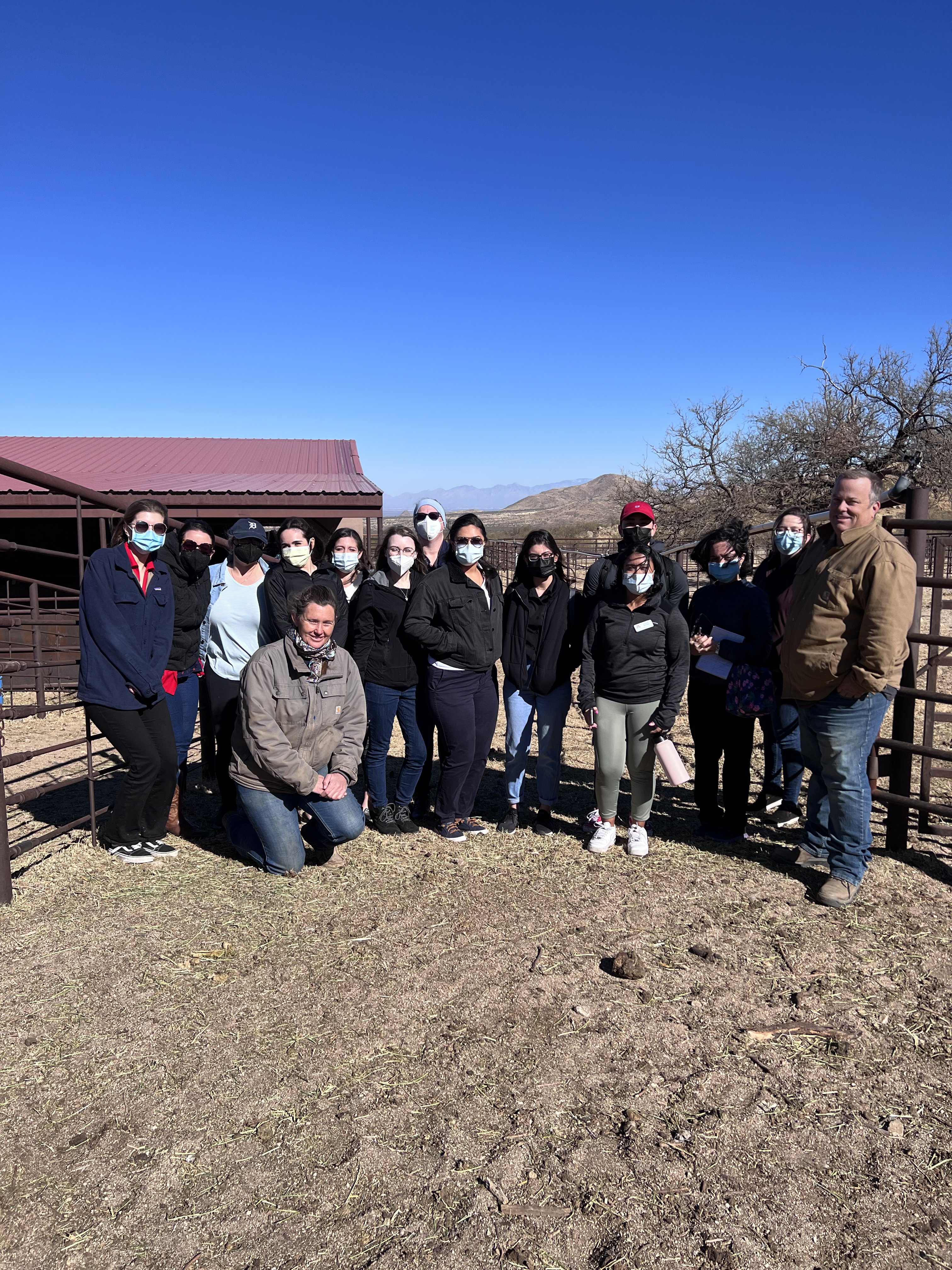 UofA Nutrition Students Learn About Beef 